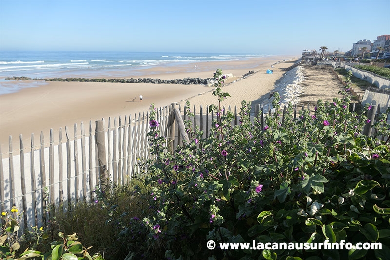 Lacanau Surf Info : bulletin météo plage du 08/05/2024 à 9h