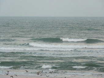 SURF CENTRALE - 22.11.2010