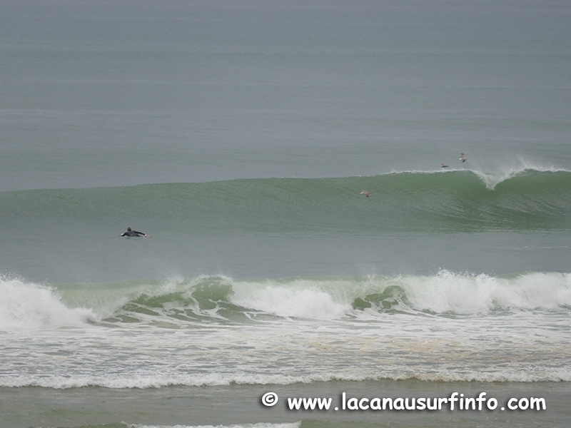 Lacanau Surf Info - Report, Météo Plage, Prévision, Photo, Vidéo - LSI
