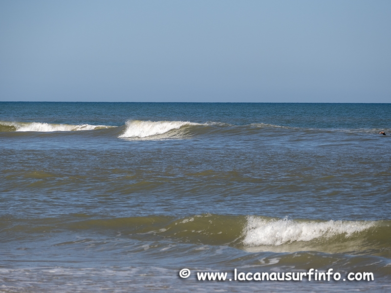 Lacanau Surf Info - Surf Report - Météo surf et plage - Prévisions houle et  vent