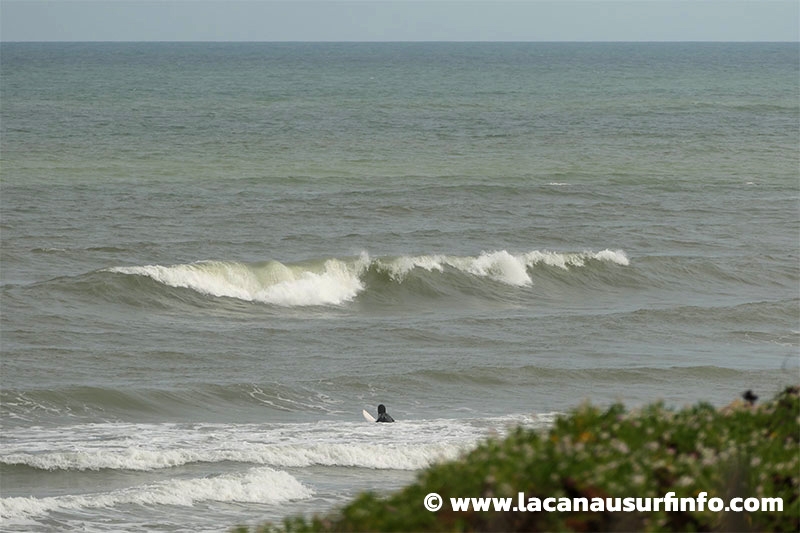 Lacanau Surf Info : surf report du 09/06/2024 à 9h