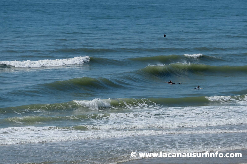 Lacanau Surf Info : surf report du 10/06/2024 à 18h