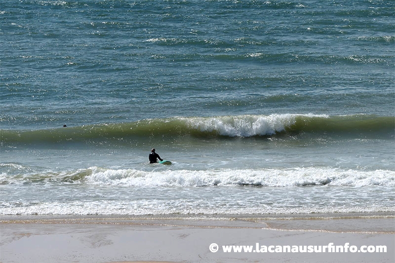 Lacanau Surf Info : surf report du 11/06/2024 à 18h