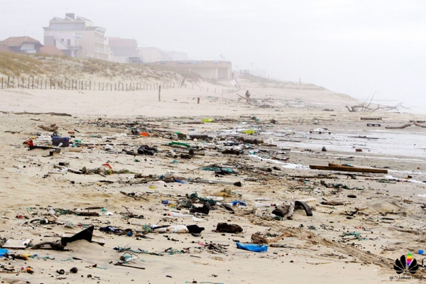 Nettoyage de plage - Dimanche 14h - Plage du Lion - © Djé - 1 moment 1 image