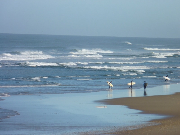 MEILLEURS VOEUX 2011 - BEACH IS GOOD